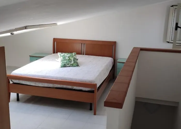 Max San Nicola Arcella