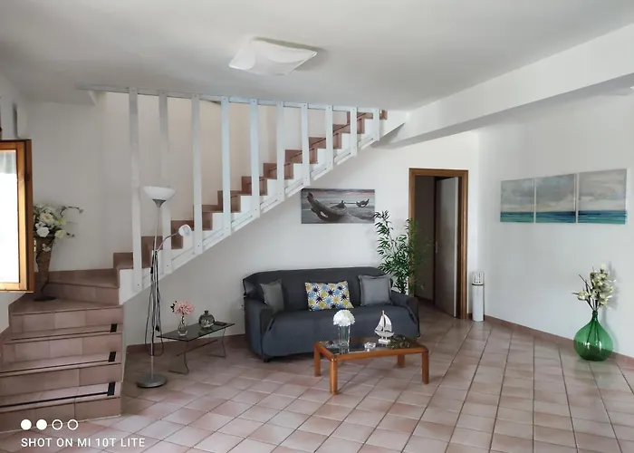 Max San Nicola Arcella